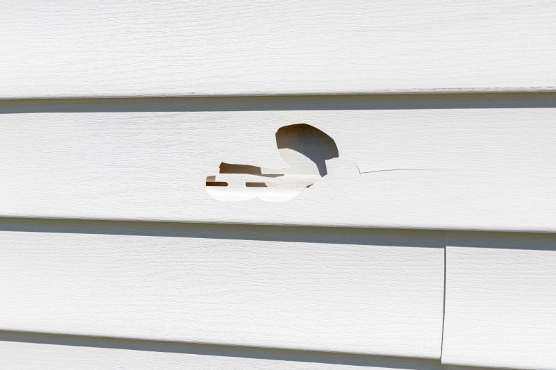 Assessing Siding Damage
