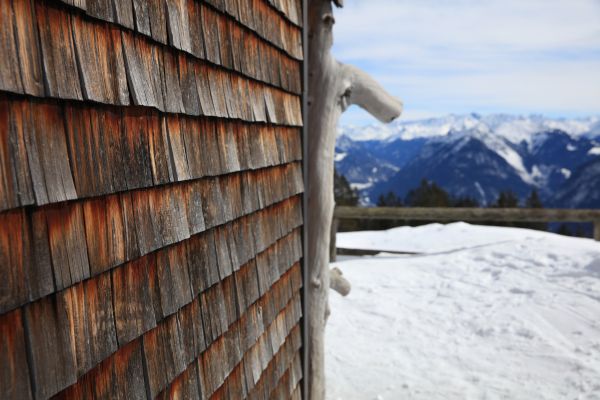 Cedar Siding Repair in Baytown